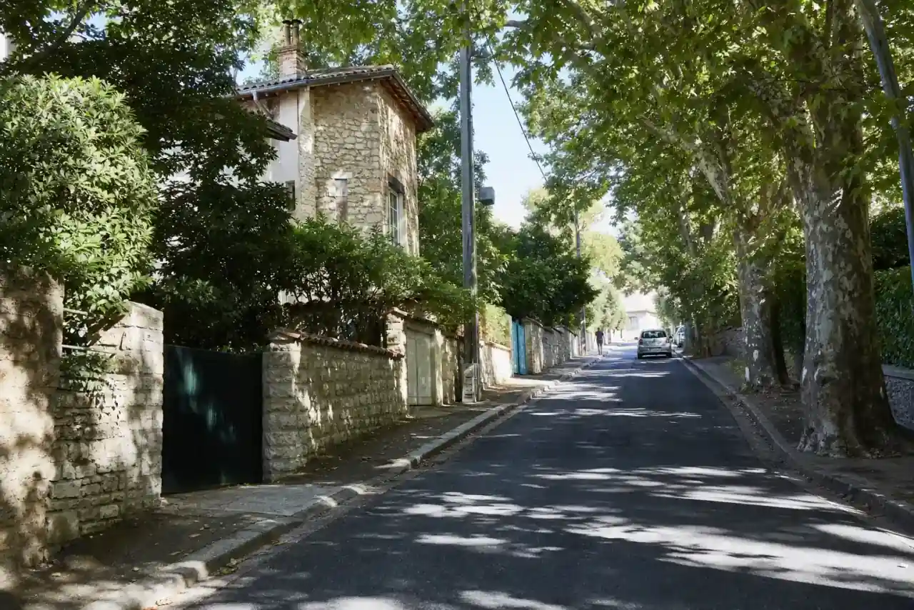 Rue résidentielle arborée de Sainte-Foy-lès-Lyon, murs de pierre et grands arbres